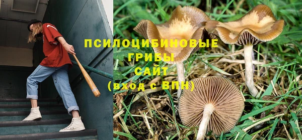 герыч Белокуриха