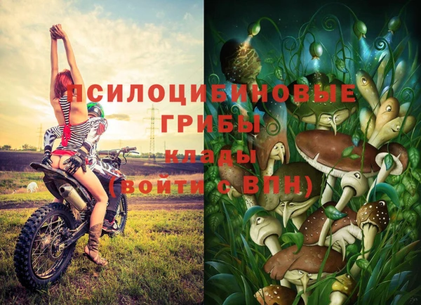 герыч Белокуриха