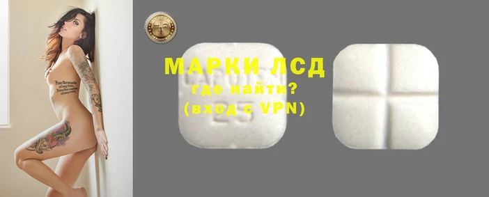 ПСИЛОЦИБИНОВЫЕ ГРИБЫ Белоозёрский