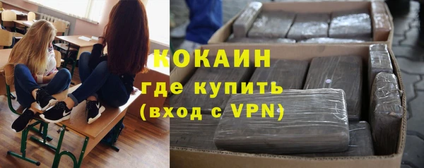 ПСИЛОЦИБИНОВЫЕ ГРИБЫ Белоозёрский