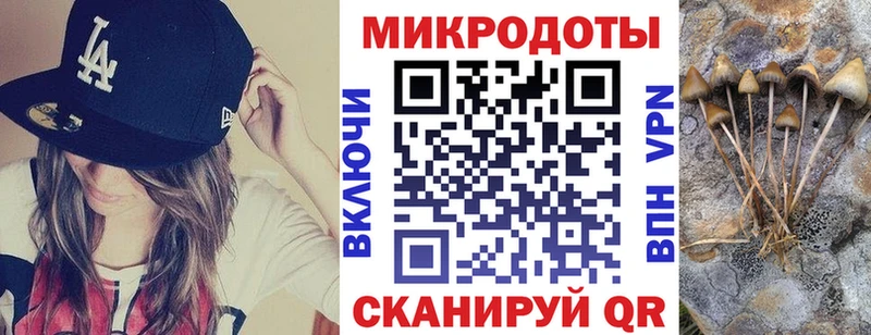 Галлюциногенные грибы мухоморы  нарко площадка состав  Волжск 
