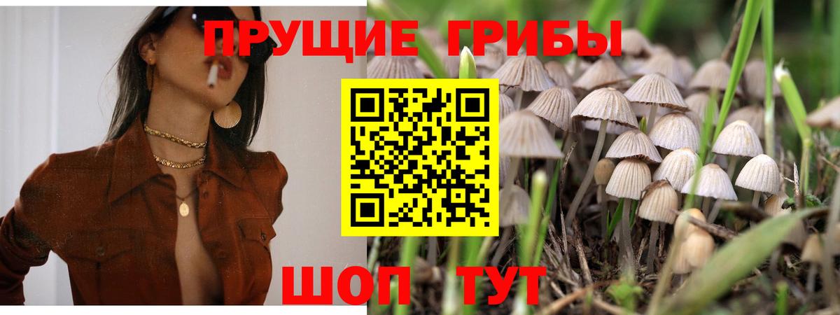 Псилоцибиновые грибы прущие грибы Волжск
